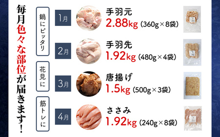 京都産鶏肉 シーズンセレクト定期便 鶏肉 京丹波あじわいどり 