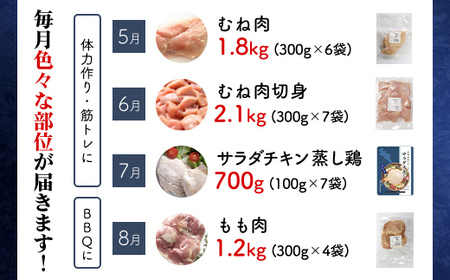 京都産鶏肉 シーズンセレクト定期便 鶏肉 京丹波あじわいどり 