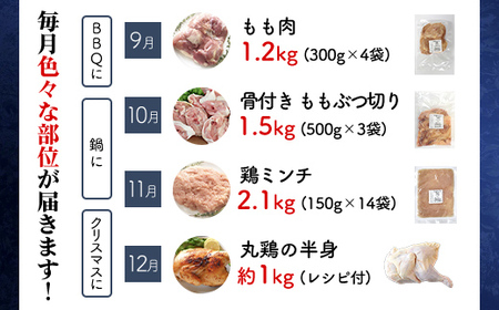 京都産鶏肉 シーズンセレクト定期便 鶏肉 京丹波あじわいどり 
