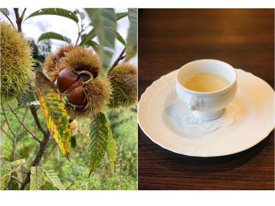 丹波栗のボタージュと季節野菜を使った濃厚食べるポタージュ2種セット　ふるさと納税 スープ ポタージュ 福知山産 丹波栗 丹波栗のポタージュ 野菜 超濃厚 食べるポタージュ 2種 セット ギフト フレンチ ビストロq 京都府 福知山市 FCEL005