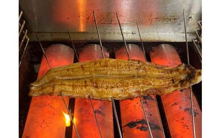 国産 うなぎ わっぱ飯 130g×4個 / ふるさと納税 うなぎ 鰻 国産 わっぱめし 京都府 福知山市 株式会社凡愚 FCAW053