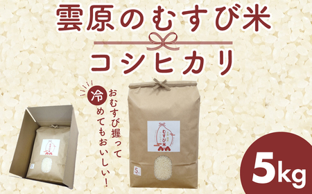 雲原のむすび米 コシヒカリ5kg / こしひかり コシヒカリ 米 お米 コメ 白米 おむすび おにぎり 精米 FCEP001
