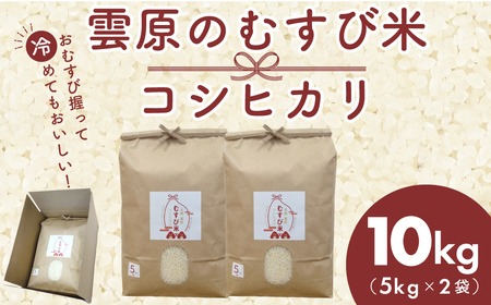 雲原のむすび米 コシヒカリ10kg（5kg×2袋） / こしひかり コシヒカリ 米 お米 コメ 白米 おむすび おにぎり 精米 FCEP002