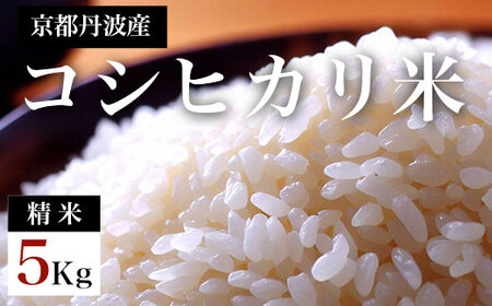 令和7年度産　京都丹波産　コシヒカリ米（精米）5kg　 ふるさと納税 米 こめ 精米 コシヒカリ こしひかり 5kg 甘味 粘り 京都府 福知山市 京都 福知山 ふるさと 奥京都 丹波産 たんば　FCDF001