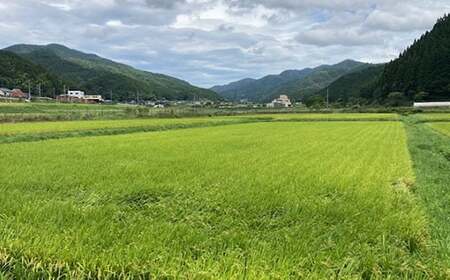 【令和7年産】【定期便6ヵ月】衣川の男米コシヒカリ 白米 5kg