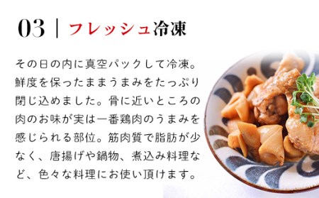 国産鶏肉 手羽元 2.88kg（360g×8袋）小分け［7営業日以内発送］【京丹波あじわいどり】 