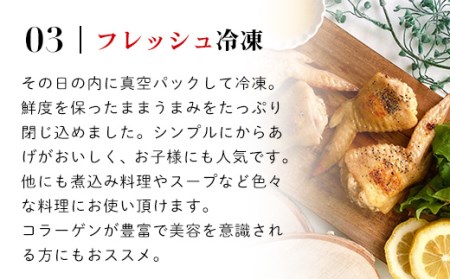 国産鶏肉 手羽先 1.92kg（480g×4袋）小分け ［7営業日以内発送］ 【京丹波あじわいどり】 