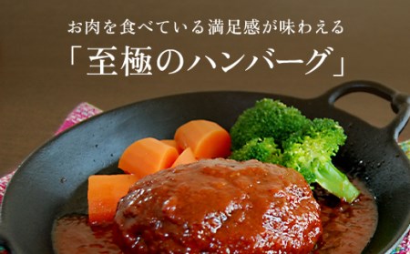 お肉ソムリエ監修!A5ランク100%黒毛和牛ハンバーグ5個 FCAX001