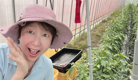 京都・福知山ピクルス　５本セット FCBV001