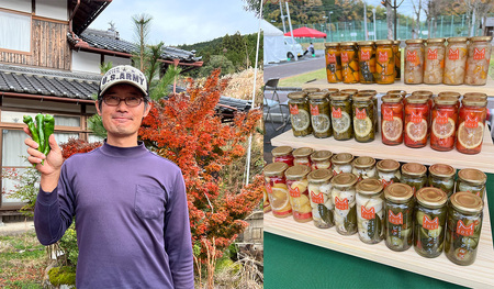 京都・福知山ピクルス　５本セット FCBV001