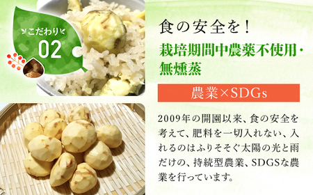 【先行予約11月中旬発送】秦栗園のあま～い氷蔵丹波栗 銀寄2L むき500g【第1回福知山市ええもん認定】【熟成】 FCAC005