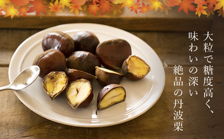 【先行予約10月中旬発送】秦栗園のあま～い氷蔵丹波栗 早生玉造2L 1㎏【第1回福知山市ええもん認定】 大粒【熟成】 FCAC017