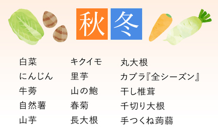鮮度抜群「京野菜」　食べきりサイズ詰合せ FCCM002