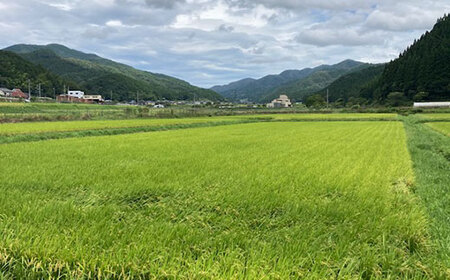 【令和7年産】衣川の男米コシヒカリ10kg（5kg×2袋）【京のプレミアム米】FCDB002