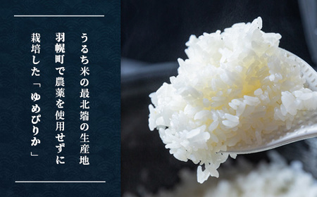 完全無農薬で栽培したお米 北海道産 特別栽培米 ゆめぴりか　10kg【25102】