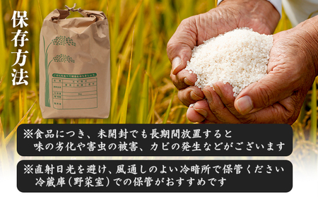 【新米予約】 2026年産 ゆめぴりか 20kg（5kg×4袋）【2010301】