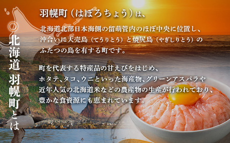 北海道羽幌町への応援寄付　返礼品なし　1口 100,000円【99008】