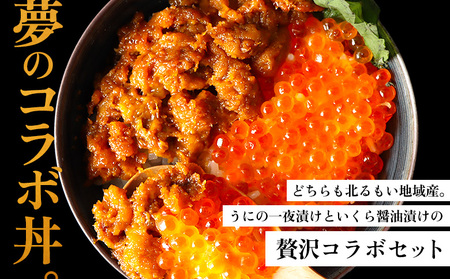 【マリナシーフーズ】うに・いくら贅沢セット【0213702】