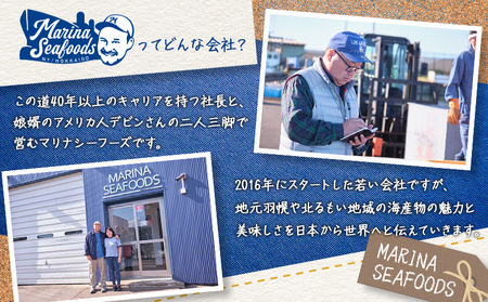 スパイシーサーモンジャーキー60g×3袋【02148】