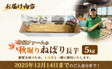 【秋堀り】中尾ファームのねばり 長芋 5kg【3400101】