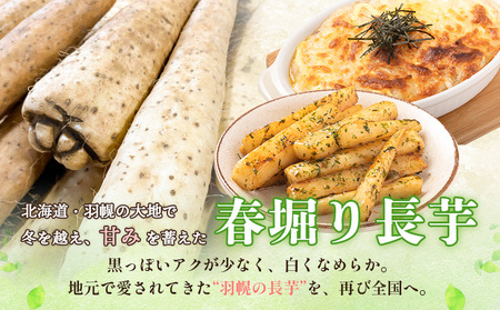 ※先行予約開始 【春堀り】中尾ファームのねばり長芋 5kg【3400301】