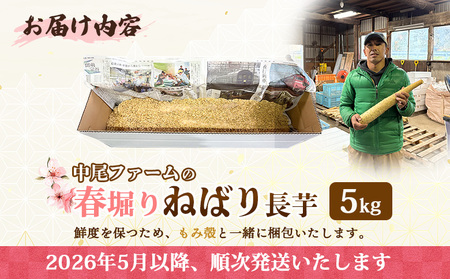 ※先行予約開始 【春堀り】中尾ファームのねばり長芋 5kg【3400301】