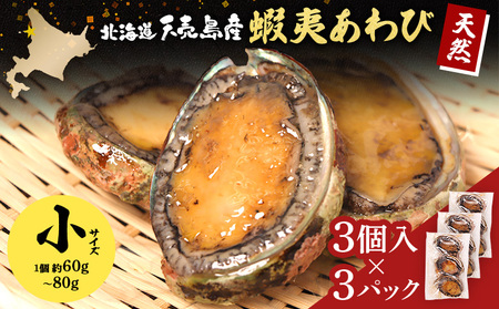 【北海道】天売島産 天然蝦夷あわび 小サイズ 3個入×3パック (1個 約60g～80g)【02167】