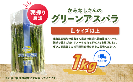 【2026年産先行受付】朝採り発送 かみなしさんのグリーンアスパラ 1kg(Lサイズ以上)【32002】