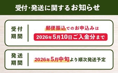 【2026年産先行受付】朝採り発送 かみなしさんのグリーンアスパラ 1kg(Lサイズ以上)【32002】