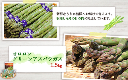 【2026年 先行予約！】【朝採り発送】北海道オロロングリーンアスパラガス 1.5kg（露地物）【0410502】