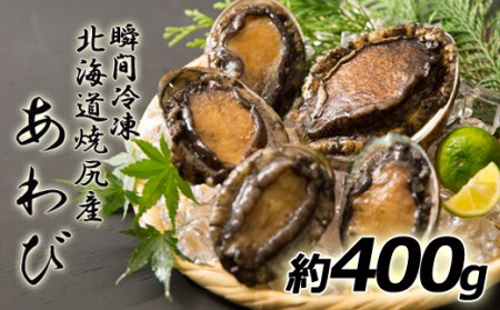 274 北海道焼尻産あわび400g 北海道羽幌町 ふるさと納税サイト ふるなび