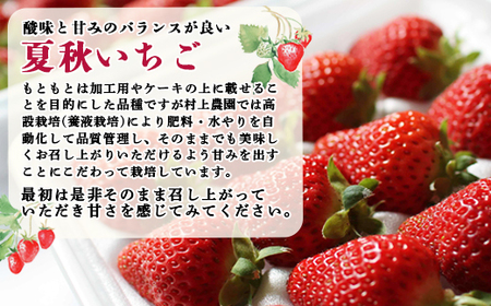 【先行予約：数量限定】北海道羽幌産 なついちご1kg（350g×3）（2024年7月より発送）【15101】