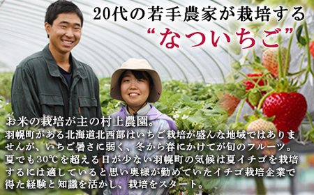 【先行予約：数量限定】北海道羽幌産 なついちご1kg（350g×3）（2024年7月より発送）【15101】