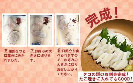 【訳あり】北海道羽幌産 刺身用たこ頭 1～2個入（700g～800g）【冷凍】【06116】