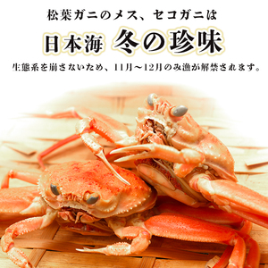 【訳あり】 【12月中旬～年内発送】 茹で セコガニ 8杯 900g以上 冷蔵 舞鶴 京都 親ガニ コッペガ二 蟹 かに カニ 冷凍 内子 外子 釜茹で ボイル 国産 カニ 松葉ガニ せいこがに せこがに メスガニ 規格外 わけあり 訳アリ 産地直送 数量限定 期間限定