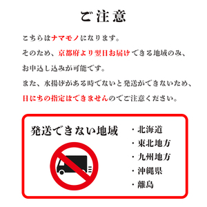 【訳あり】 【12月中旬～年内発送】 茹で セコガニ 8杯 900g以上 冷蔵 舞鶴 京都 親ガニ コッペガ二 蟹 かに カニ 冷凍 内子 外子 釜茹で ボイル 国産 カニ 松葉ガニ せいこがに せこがに メスガニ 規格外 わけあり 訳アリ 産地直送 数量限定 期間限定