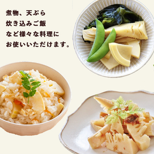 【2025年4月中旬以降】 京都 舞鶴たけのこ 冷凍 1kg （ホール＆カット） ： 冷凍たけのこ あく抜き竹の子 下処理済たけのこ ホールたけのこ カットたけのこ ボイル あく抜き済 タケノコ 筍 竹の子 