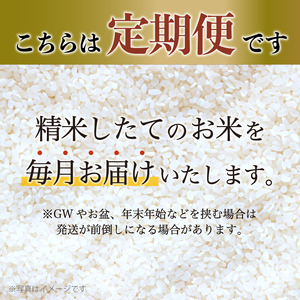 新米9月末発送】 【 定期便 】 特別栽培米 竹炭米 白米 コシヒカリ 5kg × 3回 毎月 数量限定 精米 京都 舞鶴 節減農薬 有機肥料 お米 米  ごはん お米の定期便 白米定期便 精米定期便 3回定期便 3か月定期便 | 京都府舞鶴市 | ふるさと納税サイト「ふるなび」