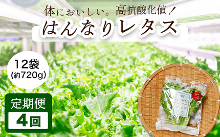 【 定期便４回 】 みらい乃野菜 はんなりレタス 12袋 ： 720g×4回 レタス 袋入 【送料無料】 水耕栽培 野菜 れたす 葉物 サラダ 高抗酸化値 低硝酸態窒素 小分け 小袋 そのまま 食べれる 健康 身体にやさしい ４回 