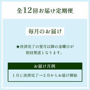 【 定期便１２回 】 みらい乃野菜 はんなりレタス 12袋（720g）×12回 ： レタス 水耕栽培レタス