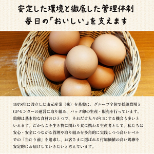 京の贈り物 卵 80個 ： 無選別 MS～LL 20個×4パック 割れ保証20個付き 新鮮 直送 たくさん 赤たまご 玉子焼き 生卵 ゆで卵 生食 卵かけご飯 目玉焼き