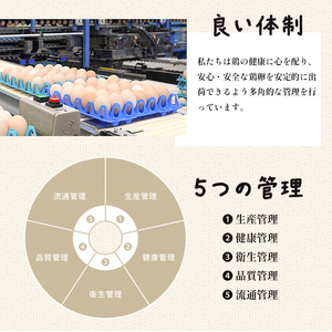 京の贈り物 卵 80個 ： 無選別 MS～LL 20個×4パック 割れ保証20個付き 新鮮 直送 たくさん 赤たまご 玉子焼き 生卵 ゆで卵 生食 卵かけご飯 目玉焼き