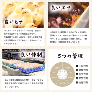 【 隔週１２回定期便 】 卵 赤たまご 1440個 ： 120個×12回 たまご 【配送不可地域：北海道、沖縄、離島】