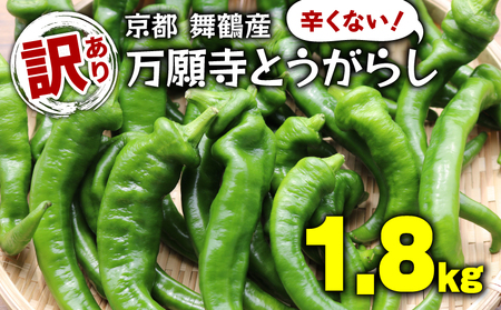 【5月中旬～11月下旬発送】 訳あり 万願寺とうがらし 1.8kg (900g×2箱) 万願寺唐辛子 万願寺 とうがらし 訳あり万願寺 訳あり野菜