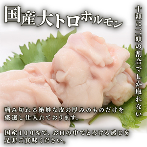 国産牛 大トロホルモン 西京味噌焼き 500g (100g×5) ホルモン