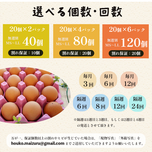 【 ３回定期便 】 卵 120個 ： 40個×3回 無選別 MS～LL 京の贈り物 20個×2パック×3ヶ月 毎月お届け 割れ保証10個 大容量 玉子焼き ゆで卵 生食 卵かけご飯 目玉焼き 新鮮 直送 たくさん 赤たまご