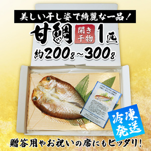 甘鯛 面構え 一夜干し 一尾