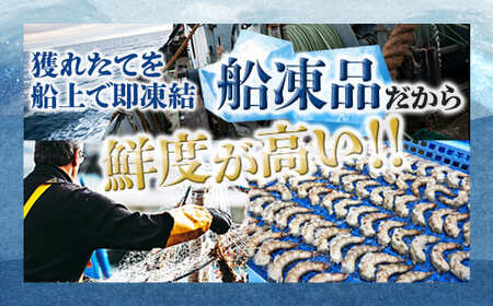 背ワタ処理済み 天然 無添加 大粒ムキエビ 1kg 約80尾 冷凍海老