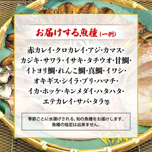 【1月下旬発送】 訳あり旬のこだわり干物 3kgセット ： 京都 舞鶴 かね和 小分け 冷凍 個包装 冷凍 3キロ 詰め合わせ 干物 人気 カマス エテカレイ アジ フィレ ひもの 不揃い お任せ こだわり 京都府 舞鶴