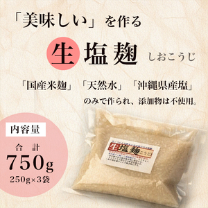 塩麹 250g×3袋 計750g 塩こうじ 万能調味料